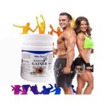Wins Jown Weight Gainer Powder – High Protein Gainer Power Supplement, 450g (WINS JOWN)