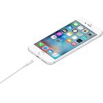 IPhone USB 2.0 Fast Charge Data Cable